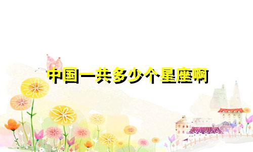 中国一共多少个星座啊