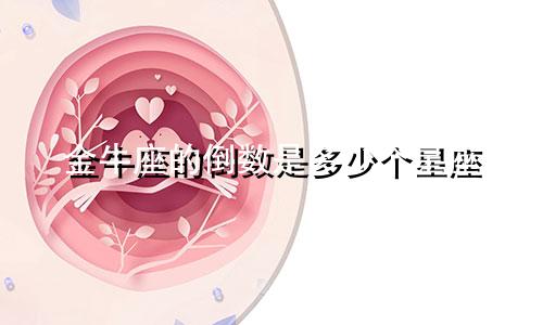 金牛座的倒数是多少个星座