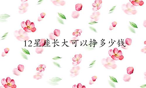 12星座长大可以挣多少钱