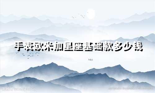 手表欧米加星座基础款多少钱