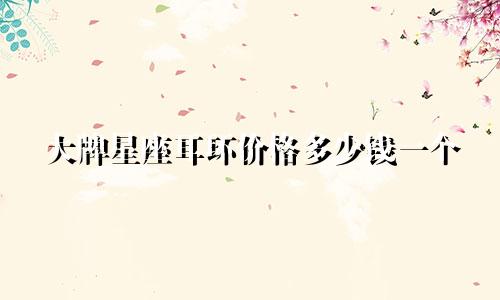 大牌星座耳环价格多少钱一个