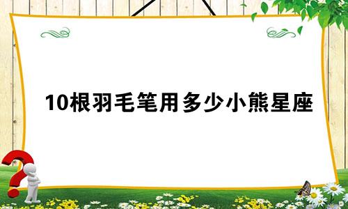 10根羽毛笔用多少小熊星座