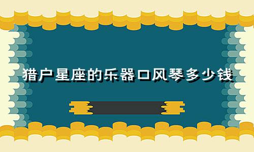 猎户星座的乐器口风琴多少钱