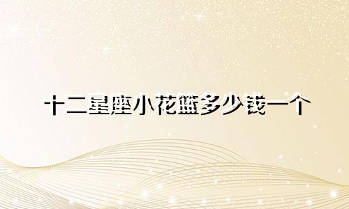 十二星座小花篮多少钱一个