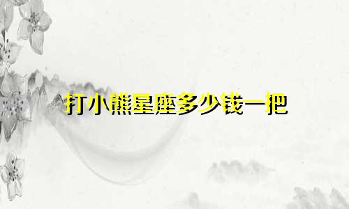 打小熊星座多少钱一把