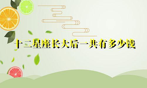 十二星座长大后一共有多少钱