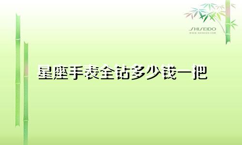 星座手表全钻多少钱一把