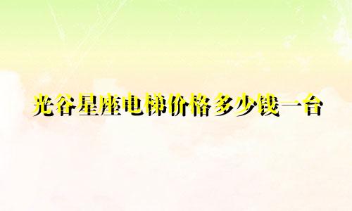 光谷星座电梯价格多少钱一台