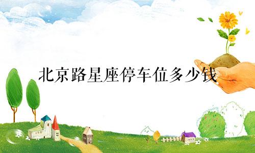 北京路星座停车位多少钱