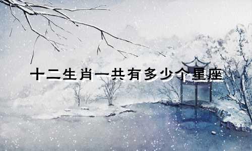 十二生肖一共有多少个星座