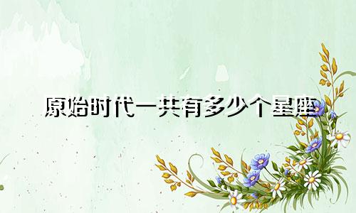 原始时代一共有多少个星座