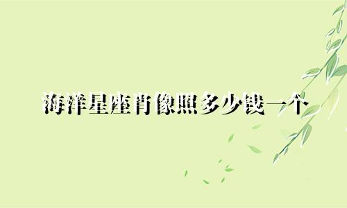 海洋星座肖像照多少钱一个