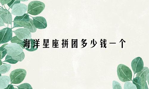 海洋星座拼团多少钱一个