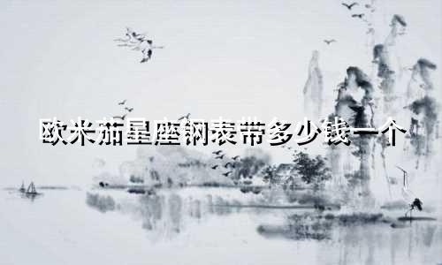 欧米茄星座钢表带多少钱一个