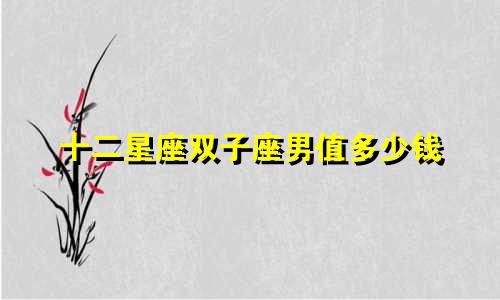 十二星座双子座男值多少钱