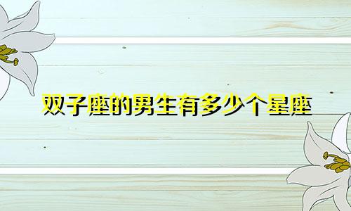 双子座的男生有多少个星座