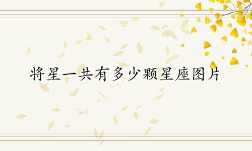 将星一共有多少颗星座图片