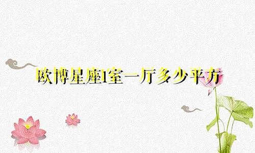 欧博星座1室一厅多少平方