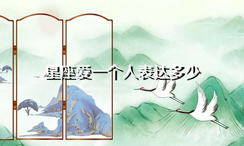 星座爱一个人表达多少