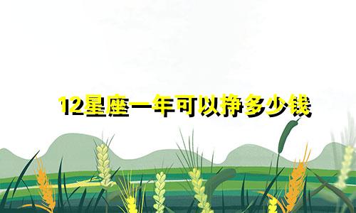 12星座一年可以挣多少钱