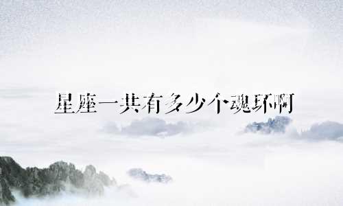 星座一共有多少个魂环啊