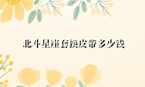北斗星座套换皮带多少钱