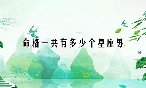 命格一共有多少个星座男