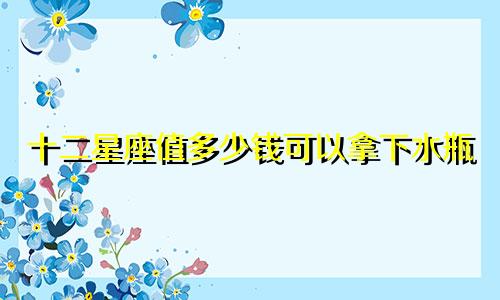 十二星座值多少钱可以拿下水瓶