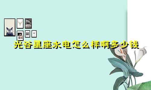 光谷星座水电怎么样啊多少钱