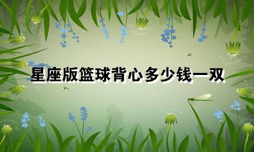 星座版篮球背心多少钱一双