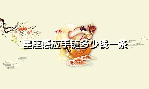 星座感应手链多少钱一条