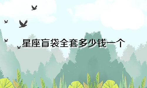 星座盲袋全套多少钱一个
