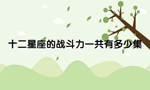 十二星座的战斗力一共有多少集