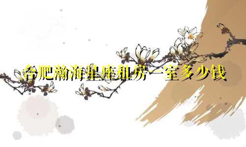 合肥瀚海星座租房一室多少钱