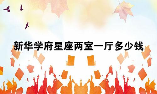 新华学府星座两室一厅多少钱