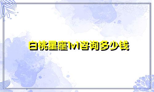 白桃星座1v1咨询多少钱