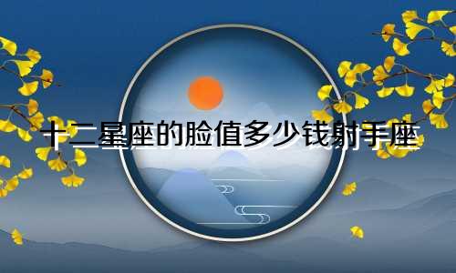 十二星座的脸值多少钱射手座