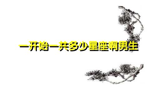 一开始一共多少星座啊男生