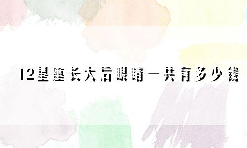12星座长大后眼睛一共有多少钱