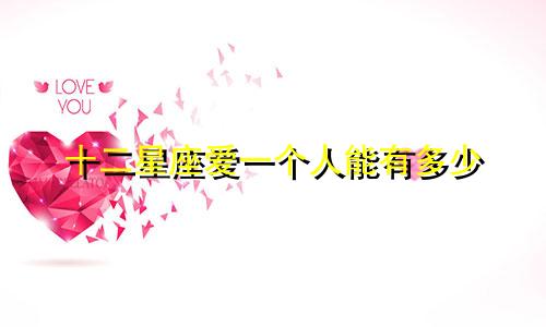 十二星座爱一个人能有多少