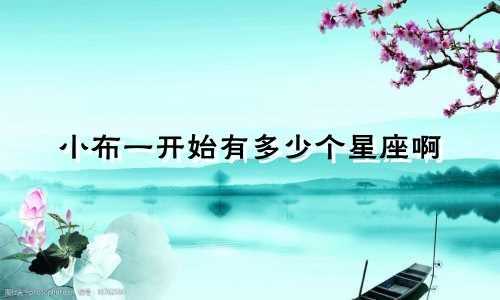 小布一开始有多少个星座啊