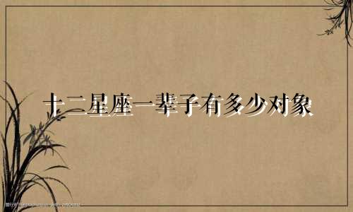 十二星座一辈子有多少对象