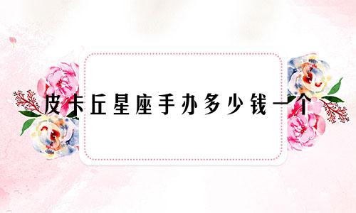 皮卡丘星座手办多少钱一个