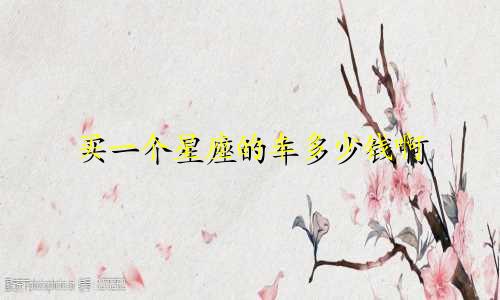 买一个星座的车多少钱啊