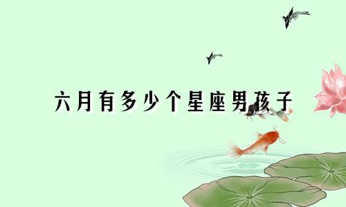 六月有多少个星座男孩子