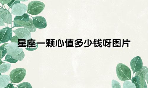 星座一颗心值多少钱呀图片
