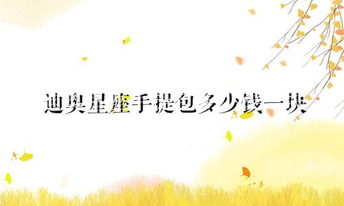 迪奥星座手提包多少钱一块