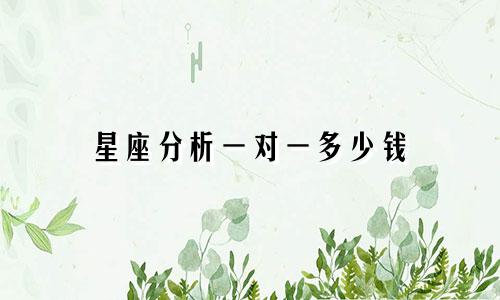 星座分析一对一多少钱