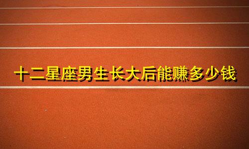 十二星座男生长大后能赚多少钱