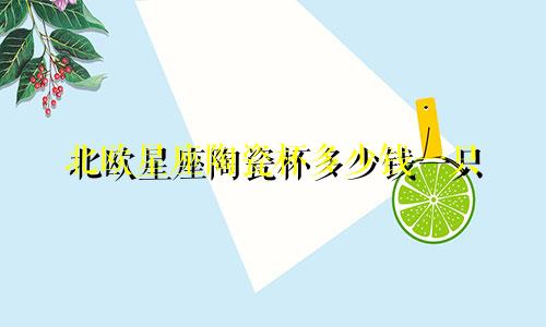 北欧星座陶瓷杯多少钱一只